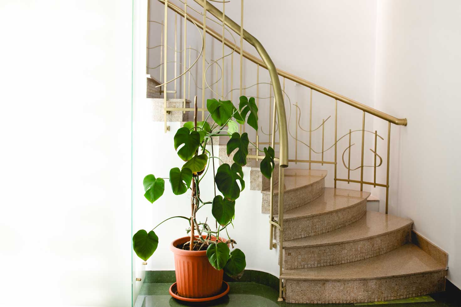 Fise si avize medicale in Bucuresti-UniTera Med-aproape de Piata Iancului